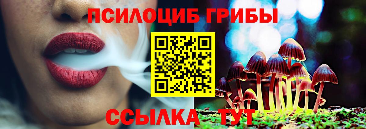 хочу наркоту  Псилоцибиновые грибы мухоморы  Вход с VPN  Усть-Илимск 